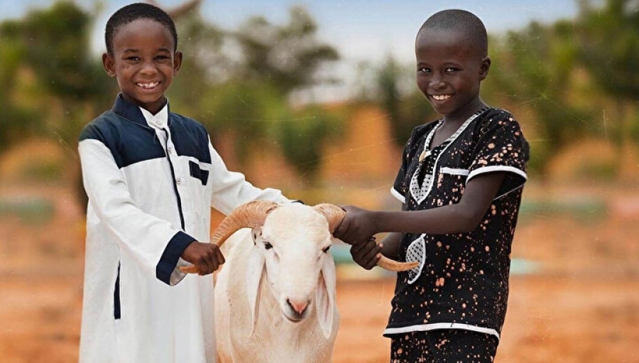 Kurban Bağışı ile Türkiye’de Binlerce Sofraya Ulaşın